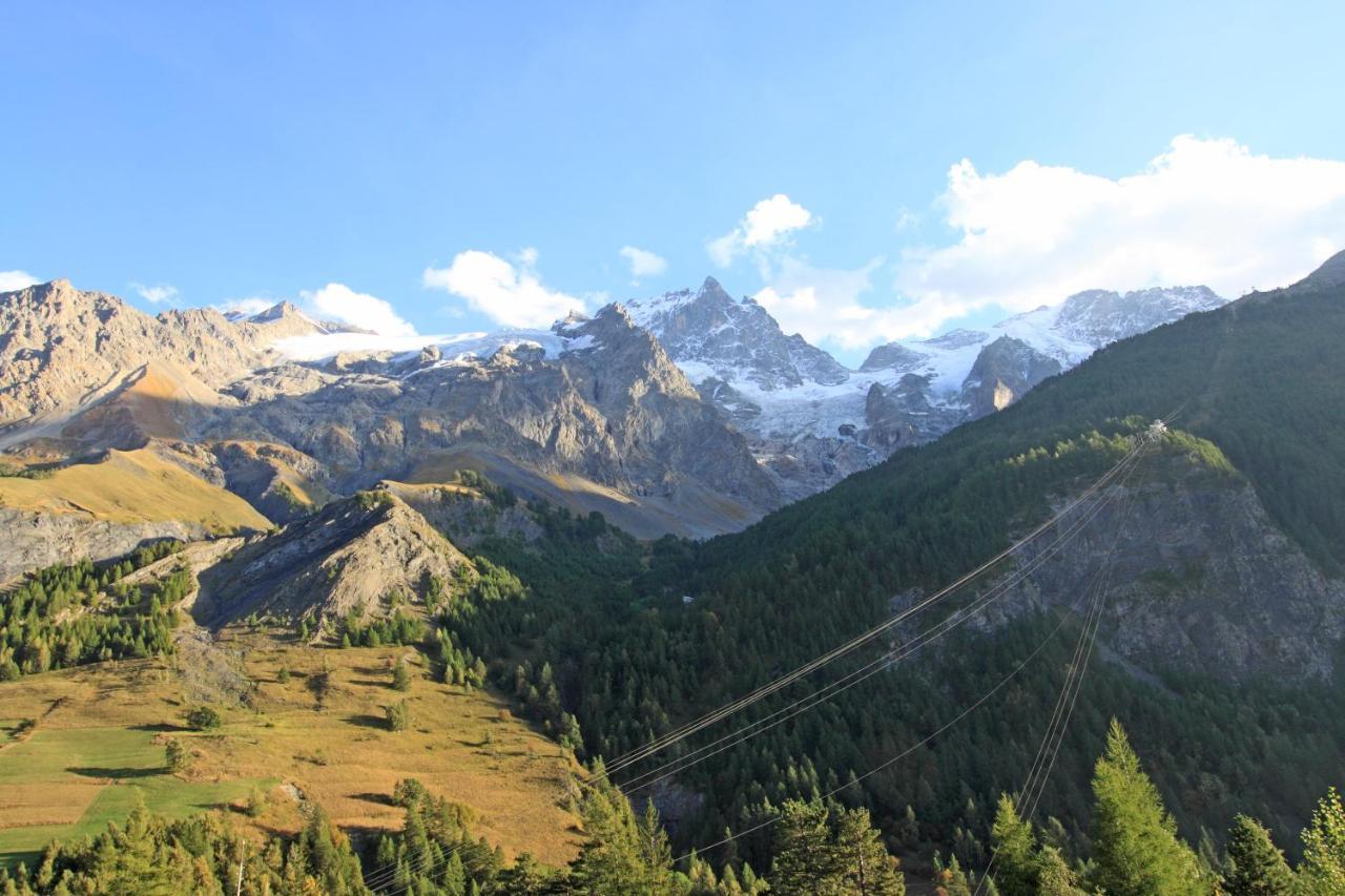 Chez Philippe - Appartements & Chalets En Village Pieton - Vue Glaciers ラ・グラーヴ エクステリア 写真